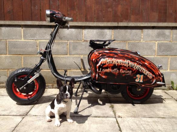 941339_10151401058197823_869007697_n