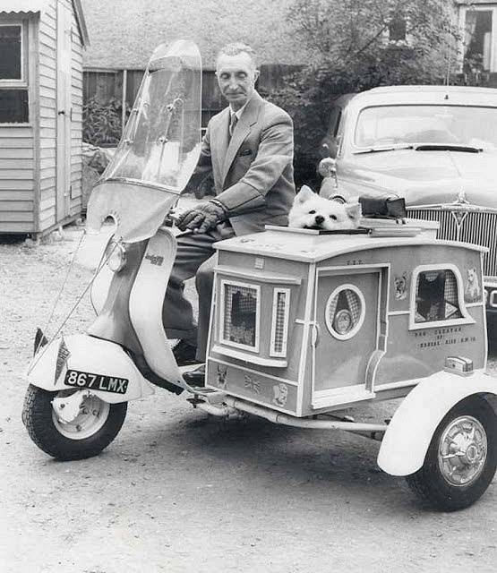 12039456_10153540996666597_3009764122593765340_n